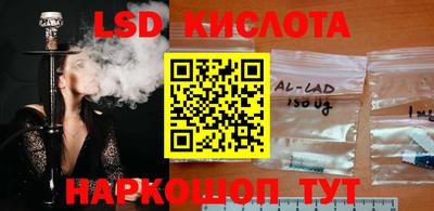 a pvp Новокубанск