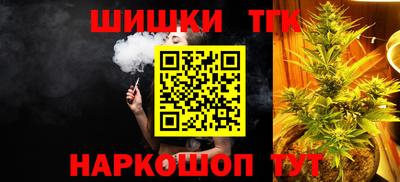 скорость Новозыбков