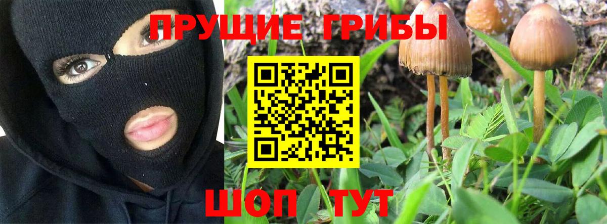 Псилоцибиновые грибы Psilocybine cubensis Тулун