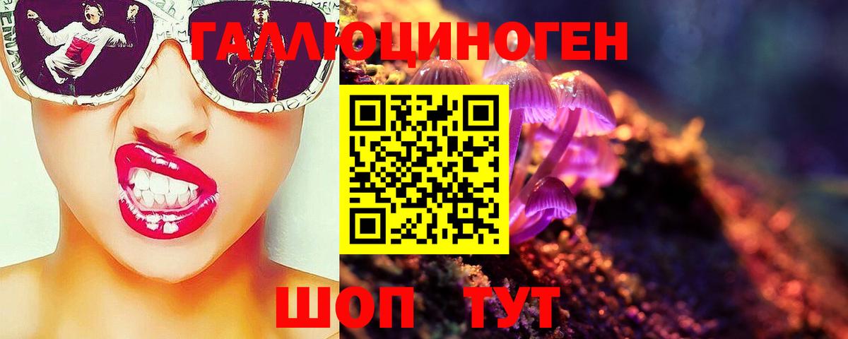Псилоцибиновые грибы Psilocybine cubensis  Вход с VPN  где купить наркоту  Тулун  Псилоцибиновые грибы Magic Shrooms 