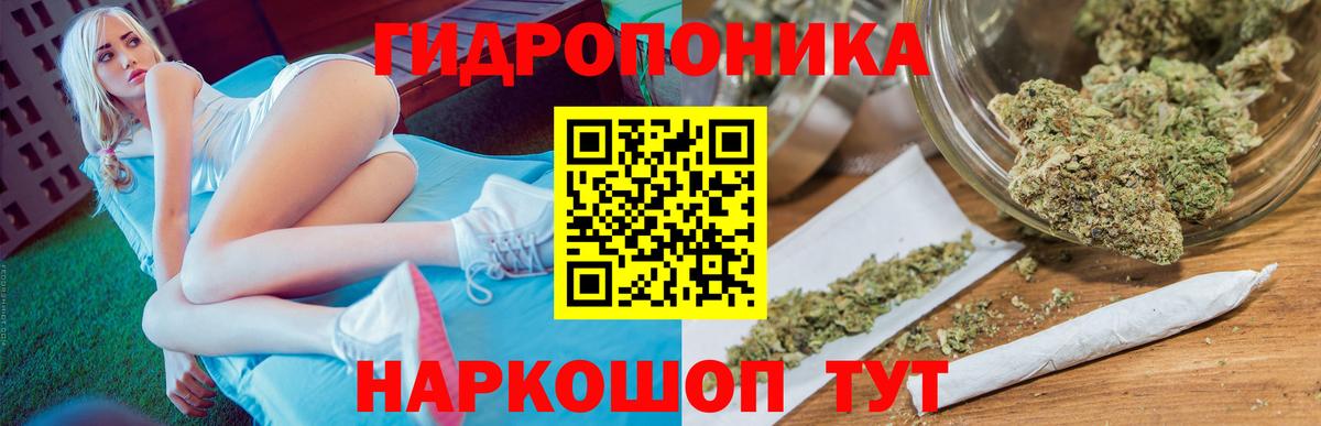 Канабис сатива  Шишки марихуана конопля  Тулун  Вход с VPN 